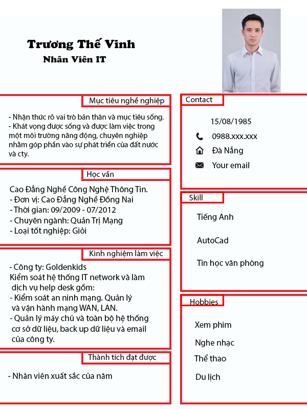 Mẫu cvNhân viên IT 01