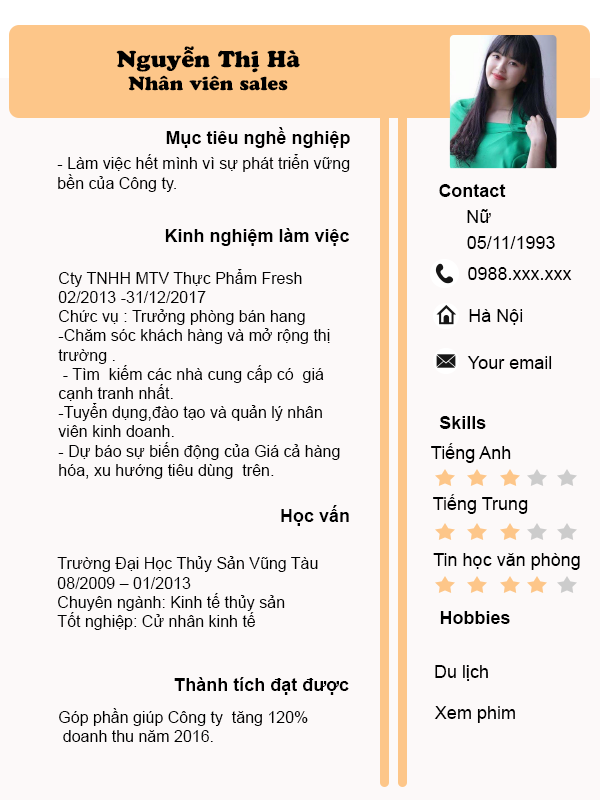 Mẫu cvSales 03