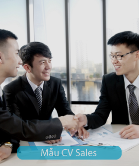 Mẫu cv Sales